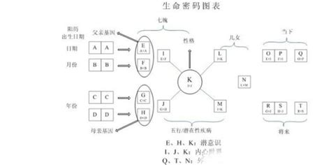 數字能量學分析